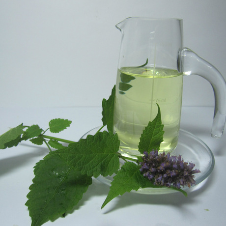 岗松油 扫帚油 天然植物挥发药油 产地直销