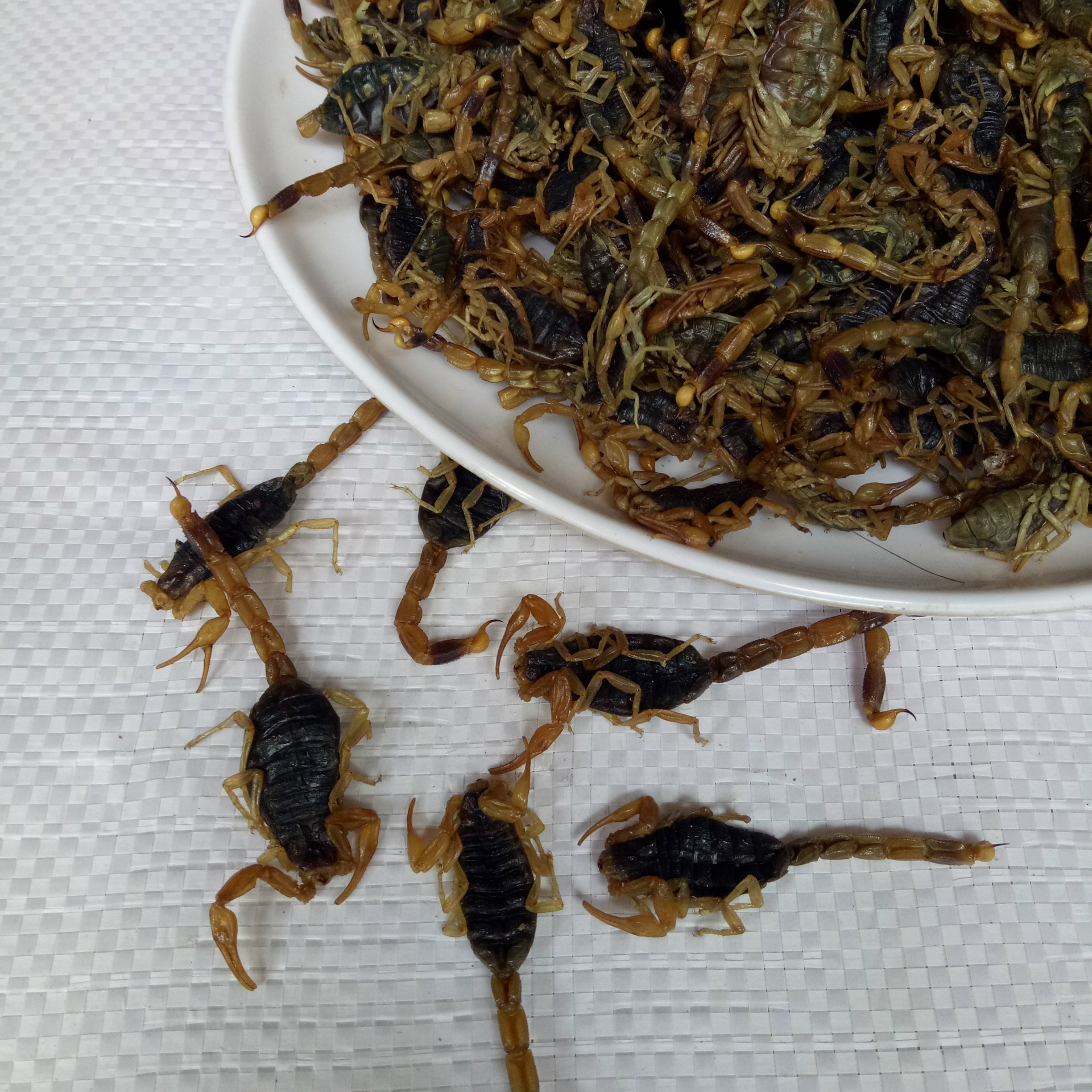 批发清水全蝎 全虫干 全蝎子 全蝎粉 不是清水全款退回 包邮