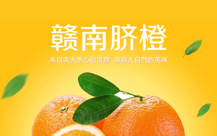 正宗赣南脐橙江西橙子礼品装新鲜福利水果20斤 包邮一件代发