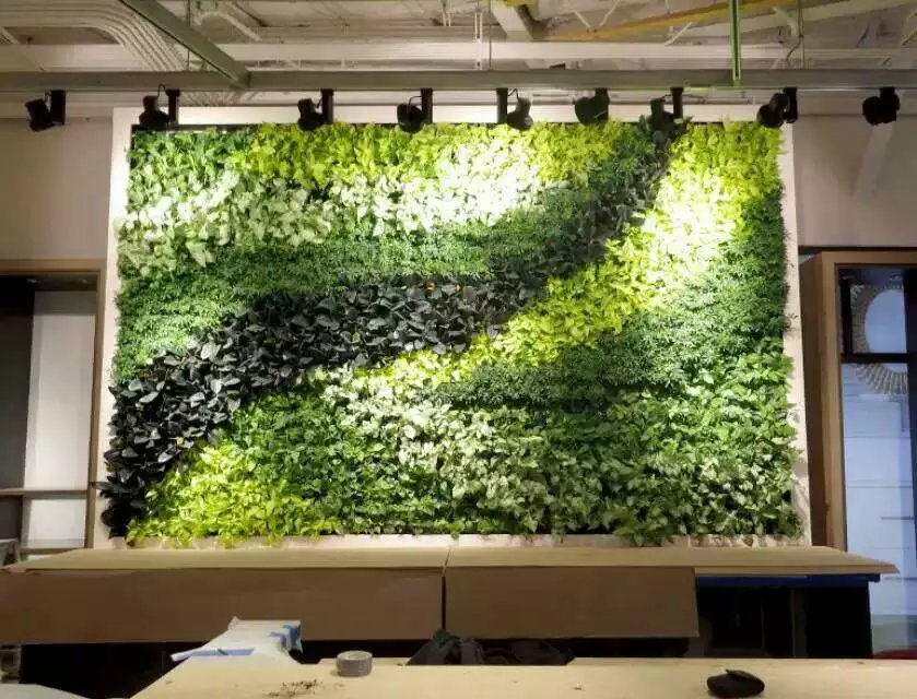 绿植墙最简单做法-城市住宅小区多样性植物墙装置的制作方法