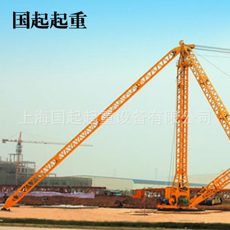 厂家直销优质 桅杆起重机 轻型起重机 绝缘起重机 家用起重机
