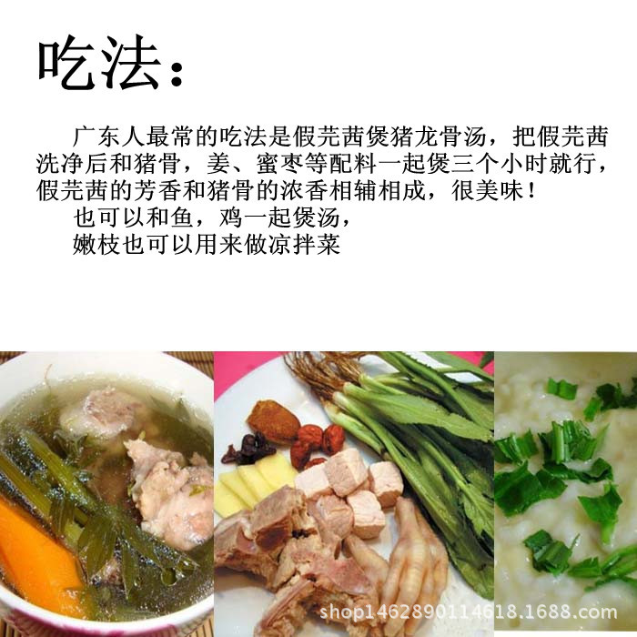 供应新鲜刺芫荽泰国香菜 傣味泰式大香菜 刺芹 假芫茜 缅芫荽