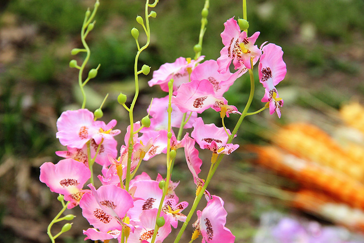 厂家直销 **仿真兰花布艺绢花多色跳舞兰家居客厅装饰摆放盆.