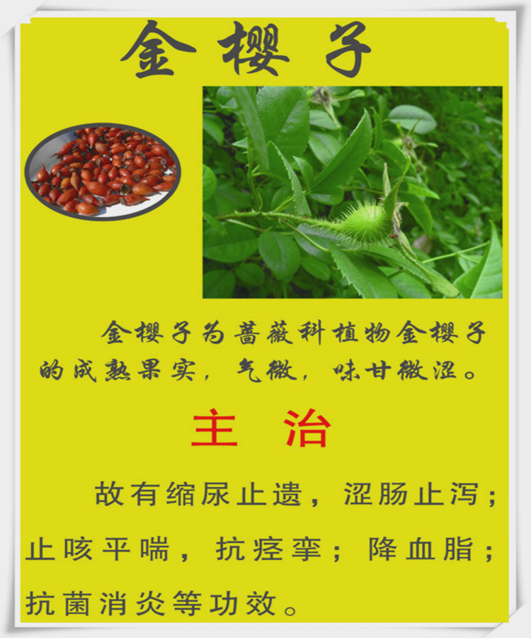 金樱子提取物 抗菌 缩尿止遗等 现货包邮