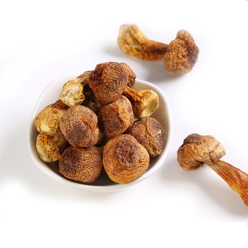 姬松茸 干姬松茸 大球盖菇 山珍干货 姬松菇 食用菌批发 500克