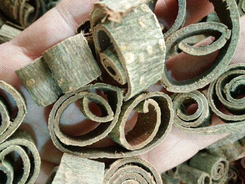 批发 厚朴 厚补 厚皮.赤朴.烈朴