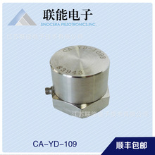 CA-YD-109电荷输出型加速度传感器(PE)型 低频高灵敏度传感器厂家