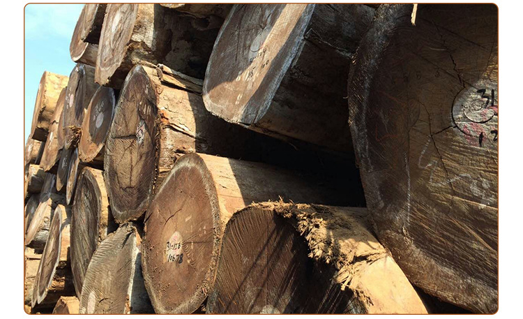非洲优质核桃木原木 防腐天然大口径防腐木材厂家 进口核桃原木