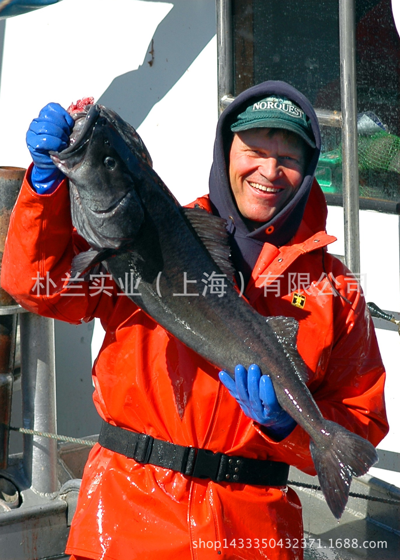 阿拉斯加黑鳕鱼 裸盖鱼sablefish black cod替代银鳕鱼 正关