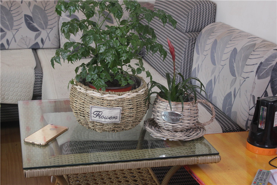 首页 编织 柳编 柳编装饰品 >厂家直销手工柳编花篮盆栽欧式多肉植物