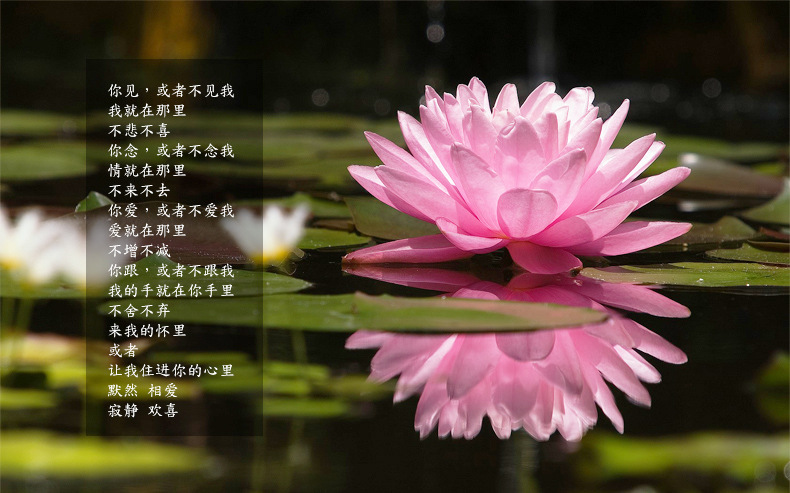 厂家直销6a***紫牙乌石榴石手链女士精品圆珠水晶手工饰品.