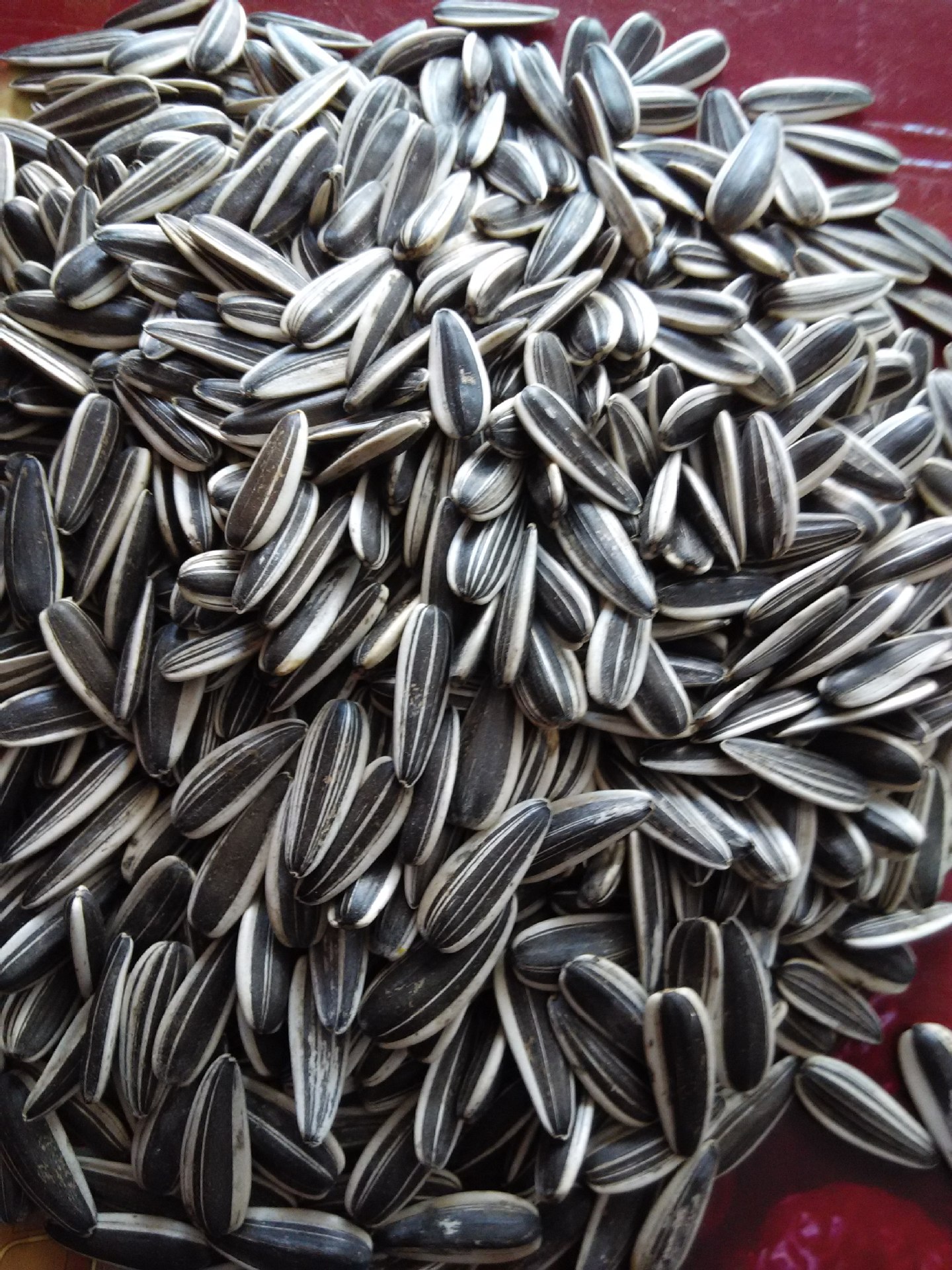 天山圣果散装1000g起批休闲零食无添加不上火婚庆年货必备生瓜子