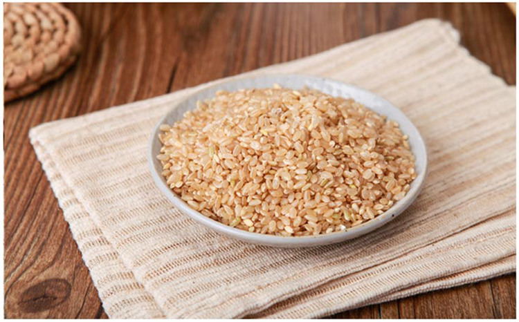 糙米 杂粮 发芽玄米大米 胚芽米 粮油米面 粗粮 2016新米1000g