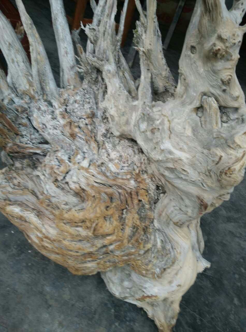 专业销售崖柏毛料,家俱,各种盆景,奇石,兰花,古玩,高档木材