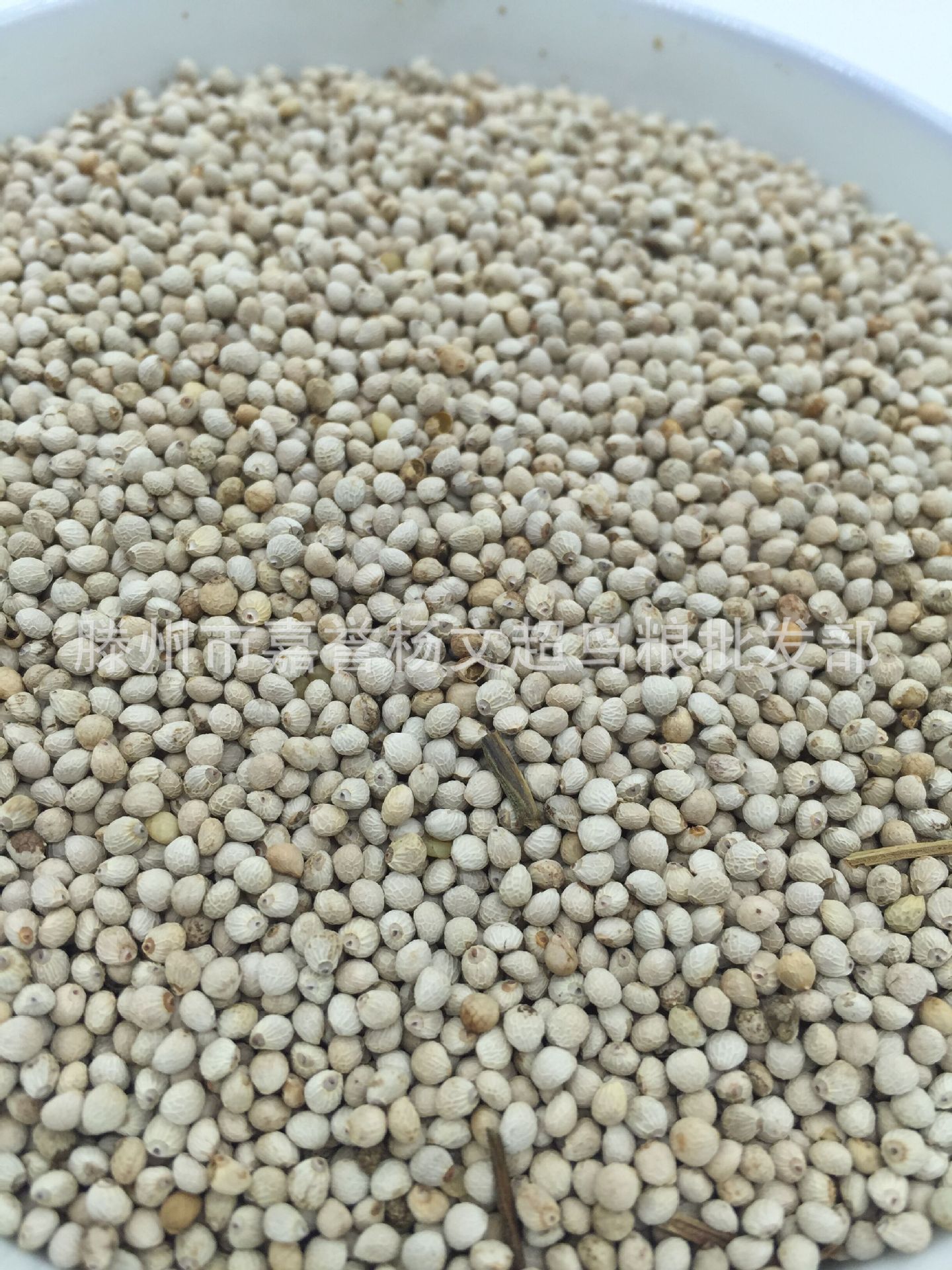 苏子白苏子软苏子鸟食鸟粮 鹦鹉金丝雀芙蓉鸟黄雀全国500克