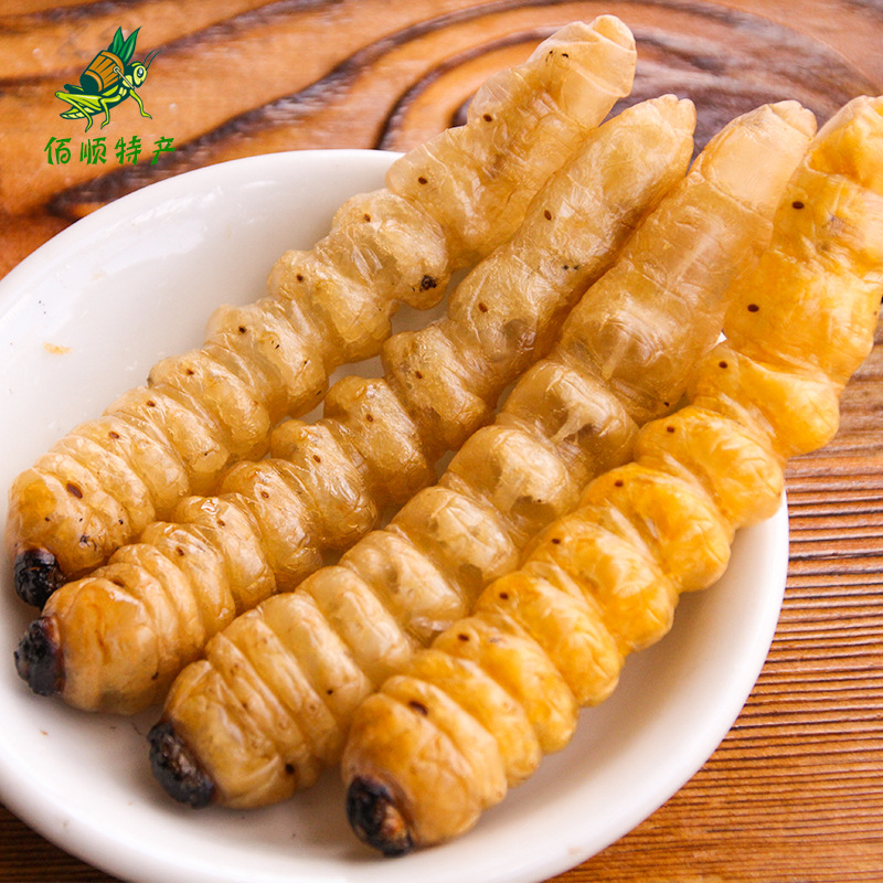 美味冰冻柴虫木虫木花云南特产食用昆虫烧烤摊美食