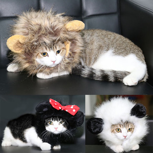 宠物猫咪假发 搞笑猫狮子头套 宠物可爱搞怪装饰品