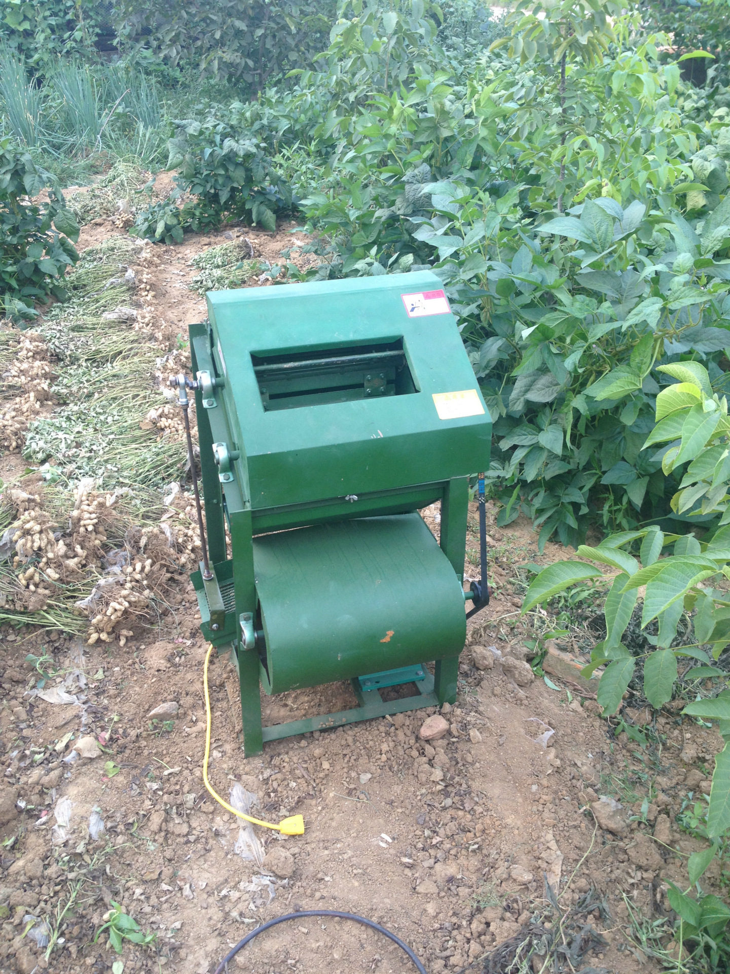 小型热销花生摘果机,操作简单,性能可靠,节能环保