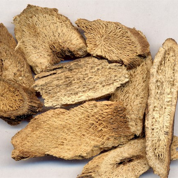 云南木香片干货火锅底料串串卤肉料麻辣烫冒菜调味香料500g袋