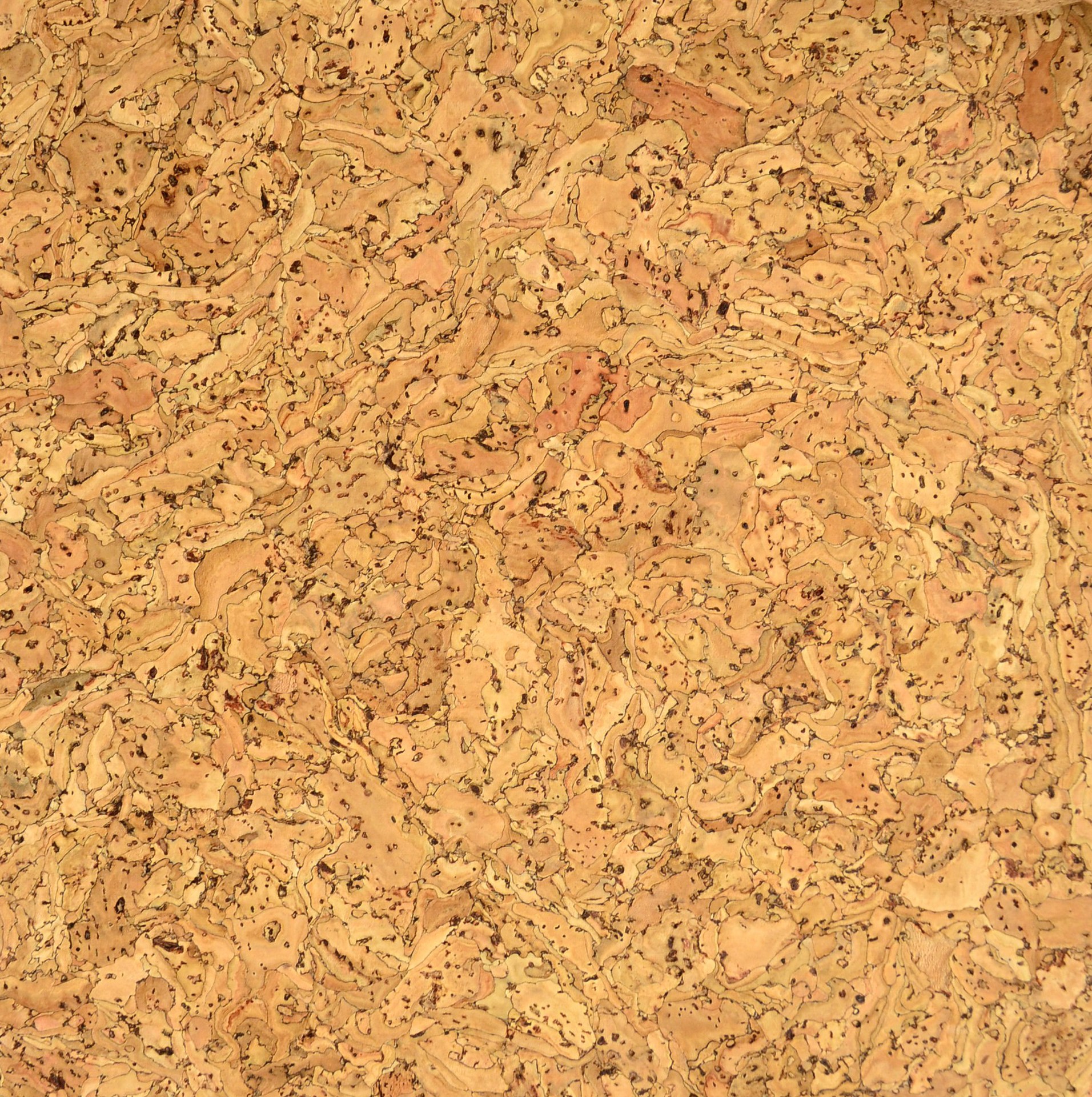 铭亮天然软木橡树皮软木水松木真木皮软木墙纸软木墙板b11