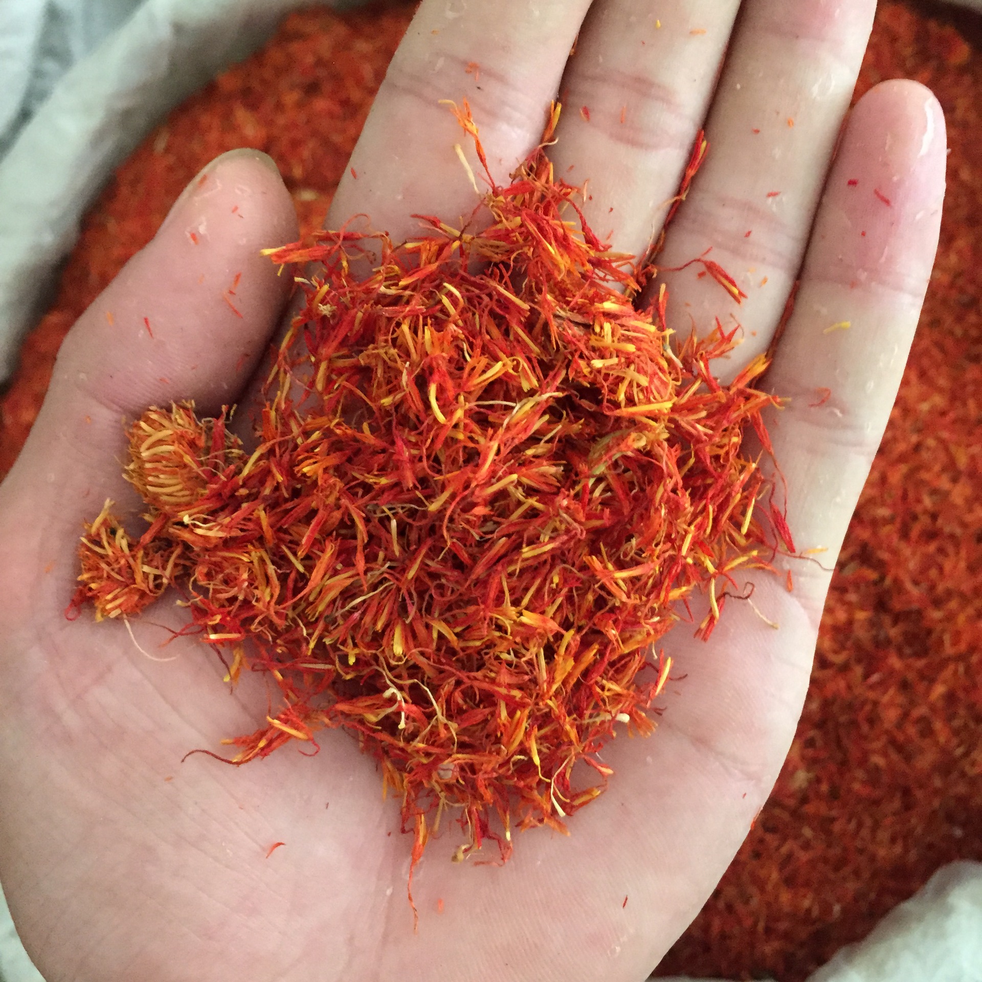 产地直销批发中药 云南特级 红花泡脚美容养颜 商家主营