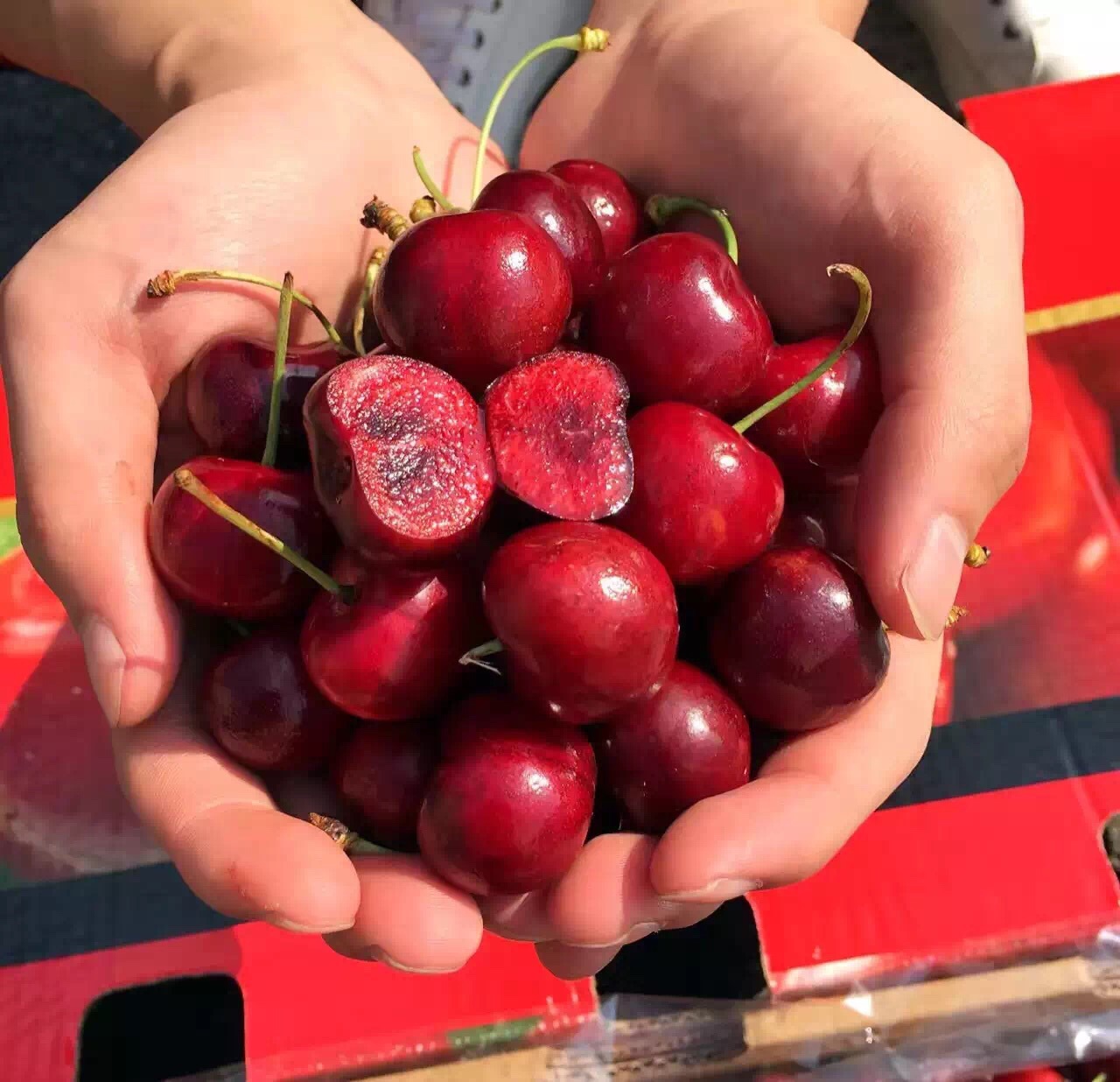 新鲜现货空运智利车厘子进口大樱桃 新鲜水果2斤起顺丰全国包邮
