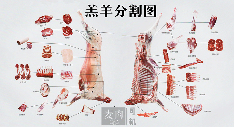 羔羊全排批发内蒙古风味中式手撕羊排羊全排