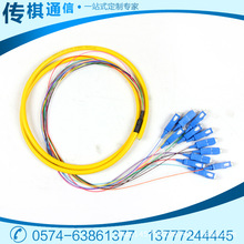 束状尾纤 SC电信级12芯束状尾纤