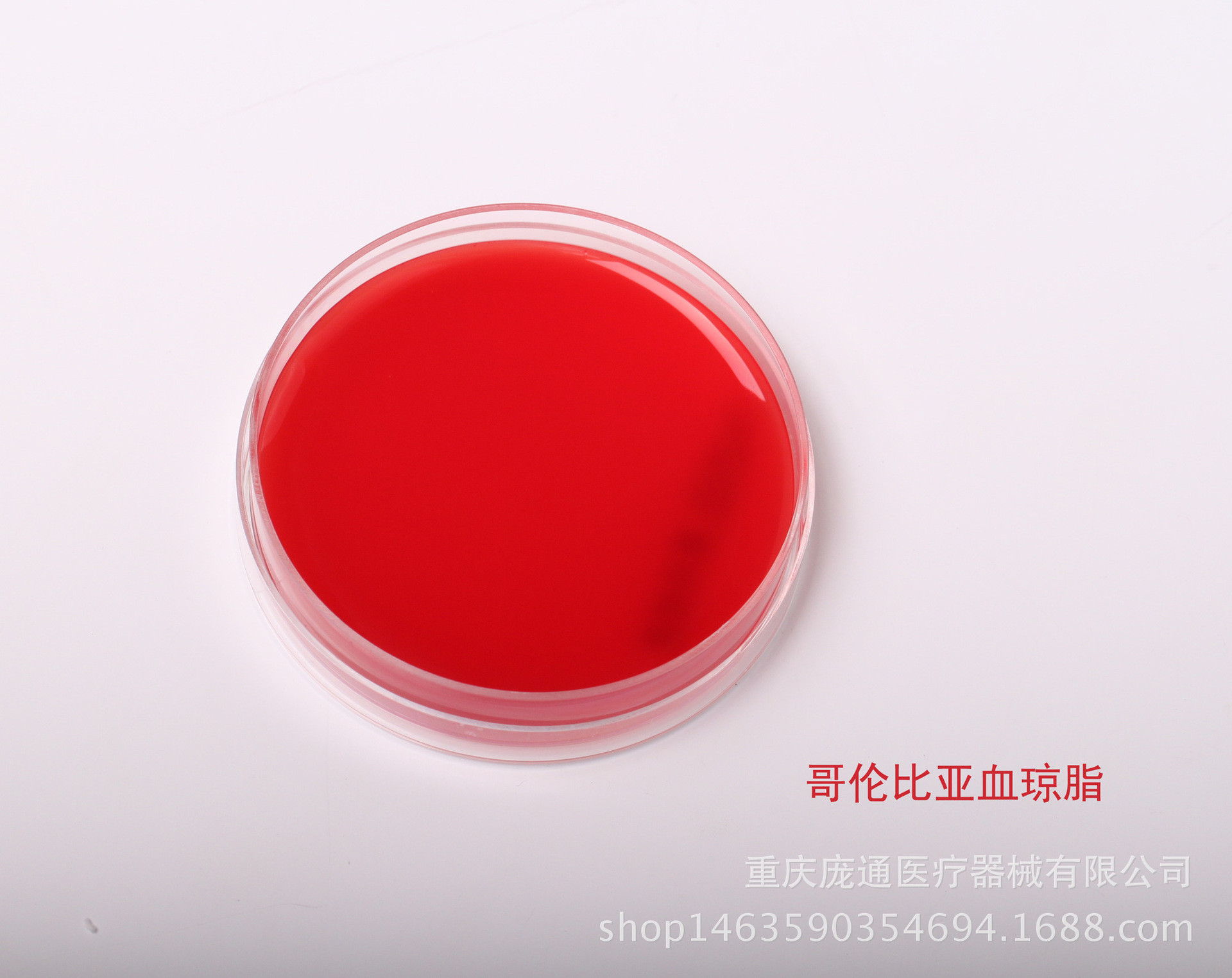 哥伦比亚血琼脂培养基 微生物实验室常用血平板 90mm 70mm