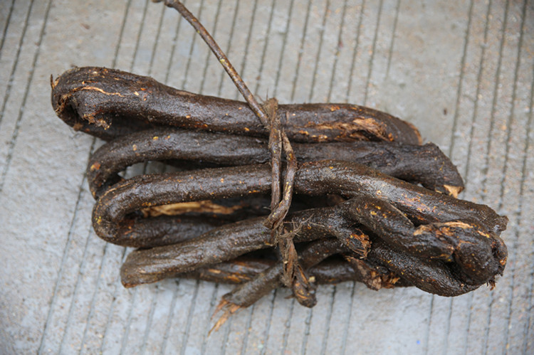 仿真藤条_树藤红山藤管道仿真藤条葡萄叶老藤干 - 阿里巴巴