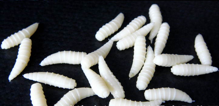 45克 路亚饵仿生夜光软虫 鲫鱼鲤鱼.