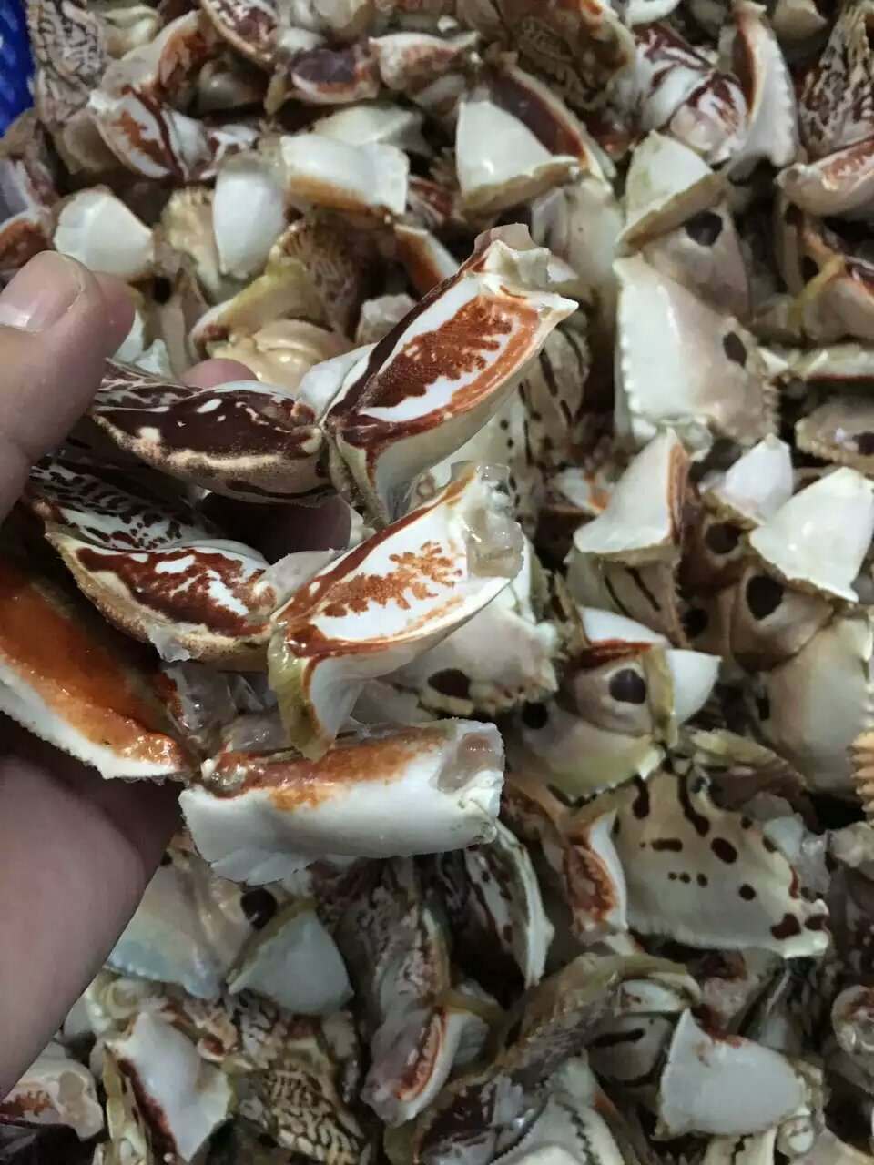 家之宴 海鲜 新鲜冷冻 元宝蟹脚 馒头蟹腿 面包蟹,珍宝蟹钳