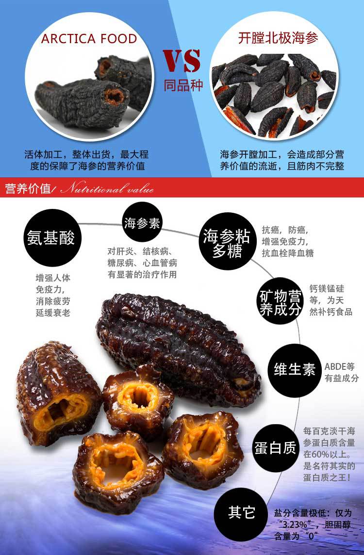 arctica food加拿大北极野生淡干海参5-8年精品装(454g)