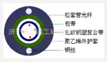 GYXTW-2~12芯,    厂家,      低价销售 欢迎选购