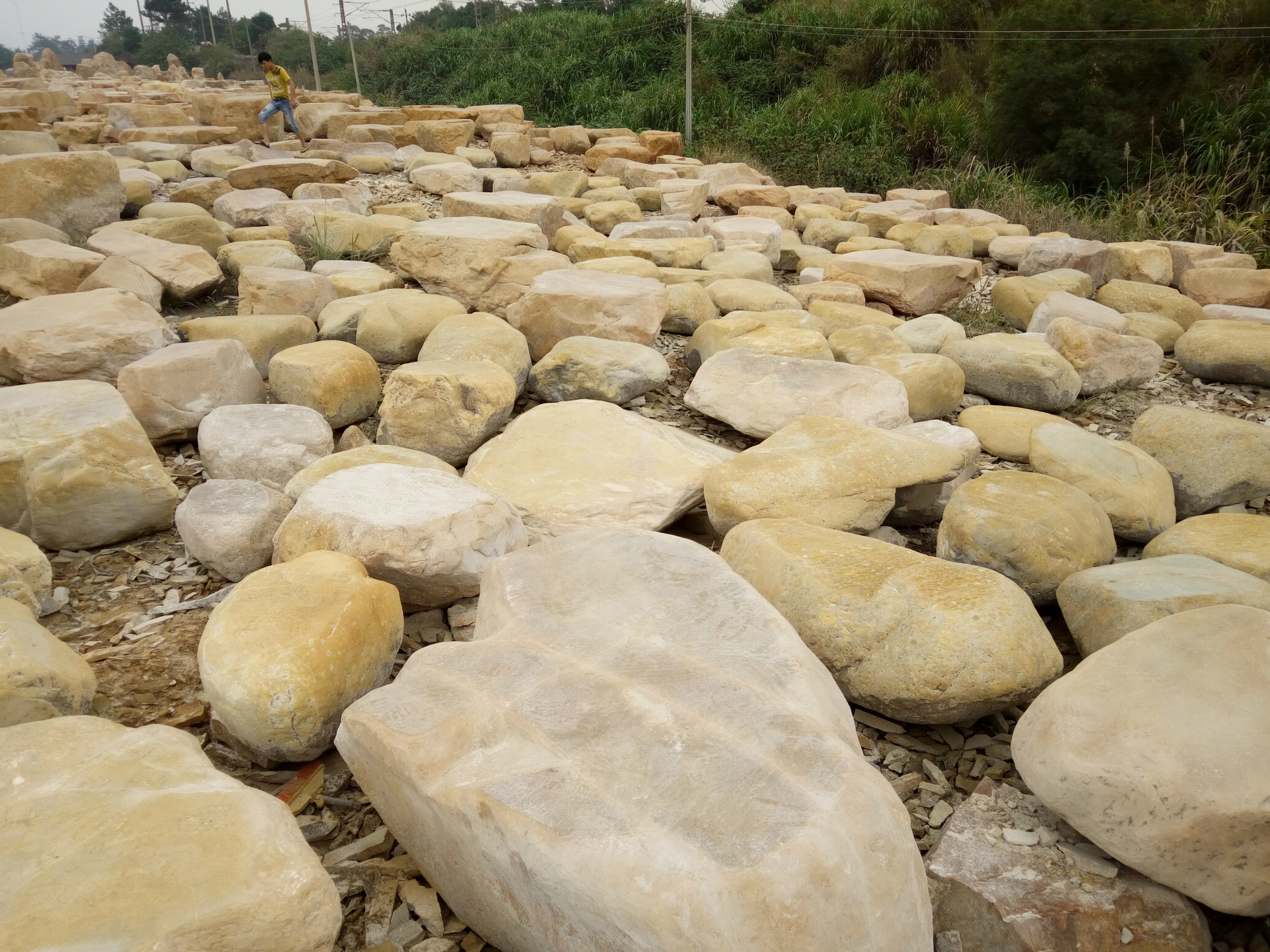 铺河道用石黄蜡石草坪河冲石 河冲石大量批发