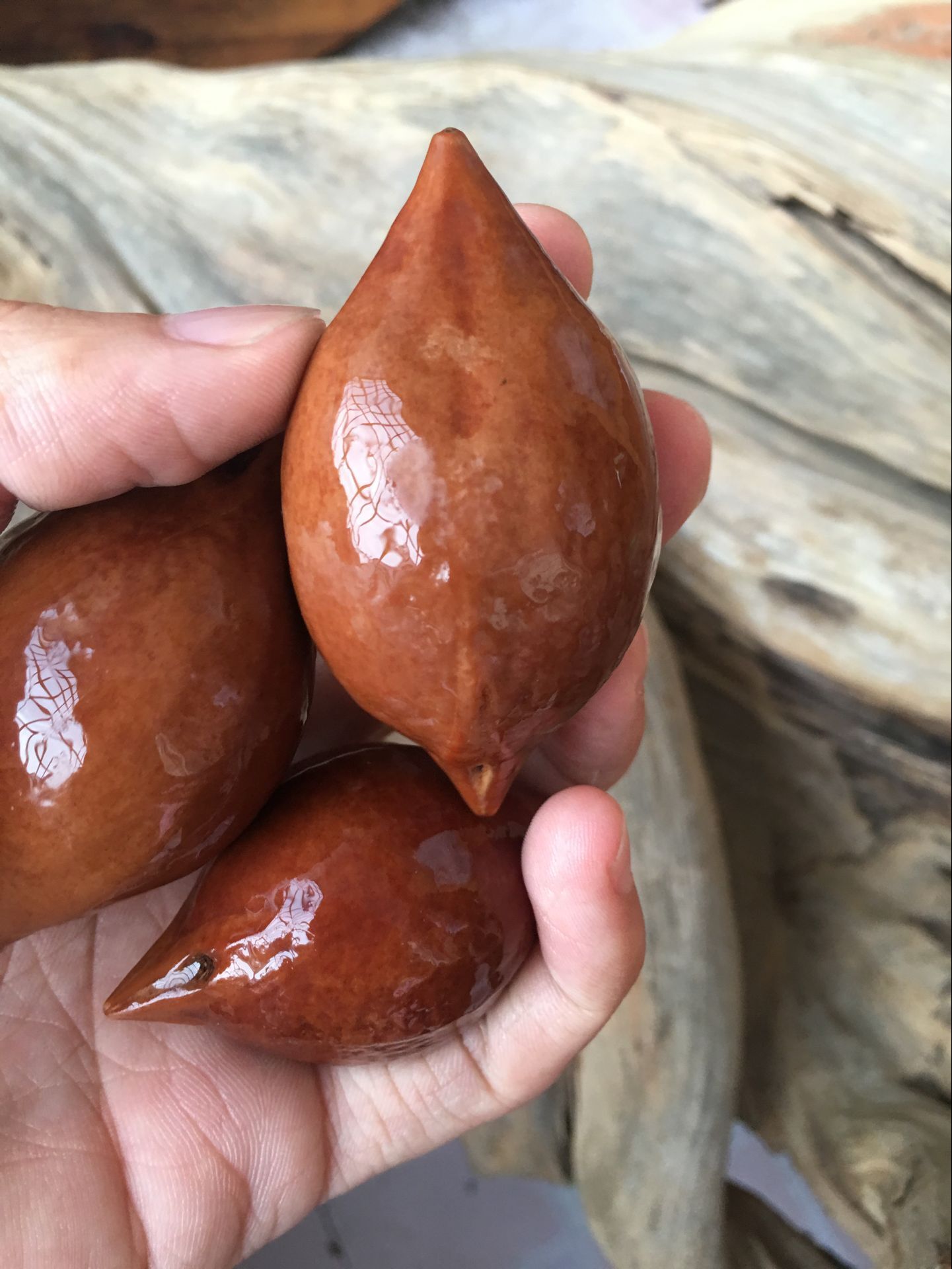 印尼橄榄核雕 大橄榄散籽大籽原料 超大尺寸 文玩小把件 红肉