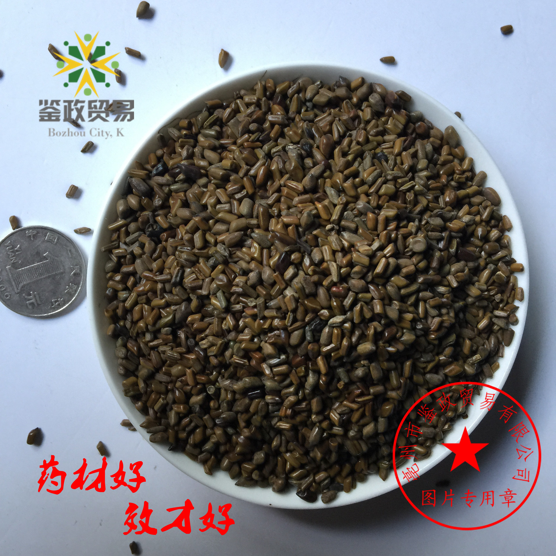 批发 散装 草决明 填充物 2斤 儿童玩具沙滩 决明子 田青籽