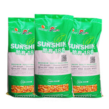 玉米种子_919玉米种子 高产 矮生抗旱高产 玉米