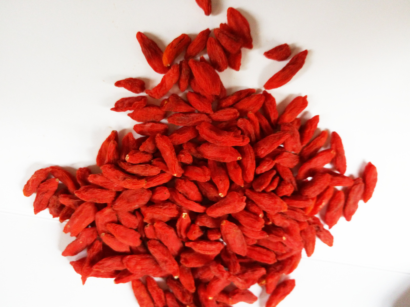 宁夏小尖椒枸杞中宁枸杞500g中宁特产特优级滋补养生 产地直销