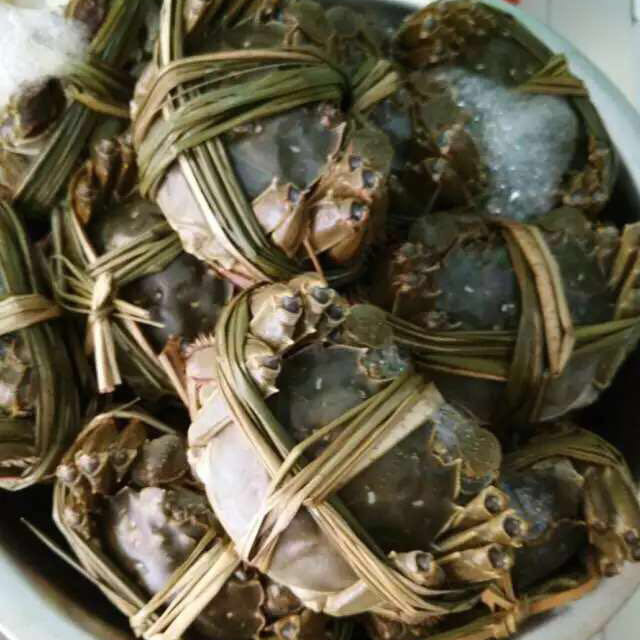 批发现货鲜活公母滆湖清水大闸蟹特产 自养自销 礼盒装 顺丰邮