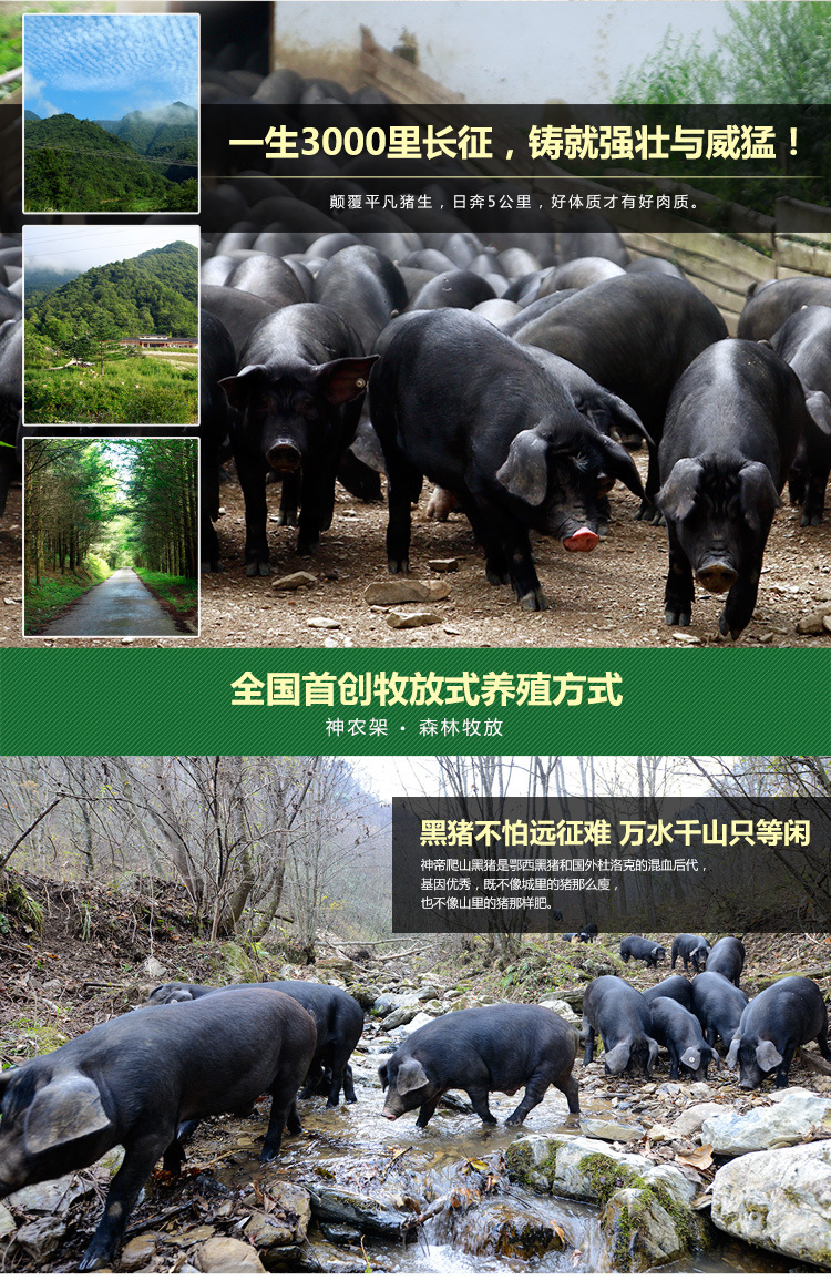 神帝 黑猪后座 神农架黑毛爬山猪肉 顺丰配送 [500g]