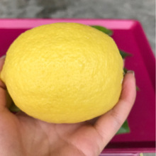 新鲜黄柠檬安岳柠檬大果新鲜批发黄柠檬单果200g产地一件代发