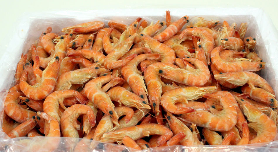 鲜美来工厂直供红虾南北冷冻熟虾单冻红虾批发包邮