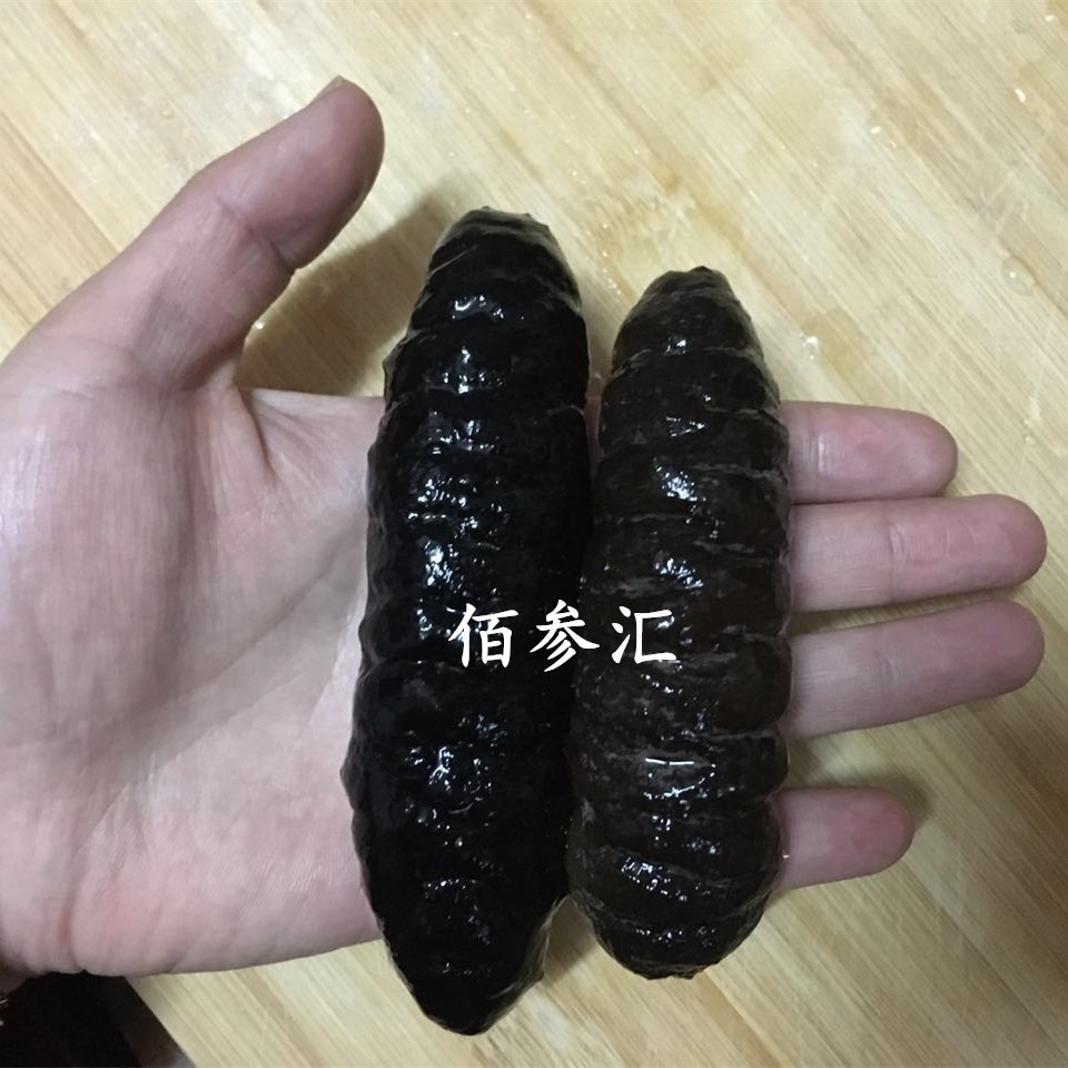 佰参汇 虎参 大虎海参 虎皮海参 虎刺参批发 超高性价比 适合家用
