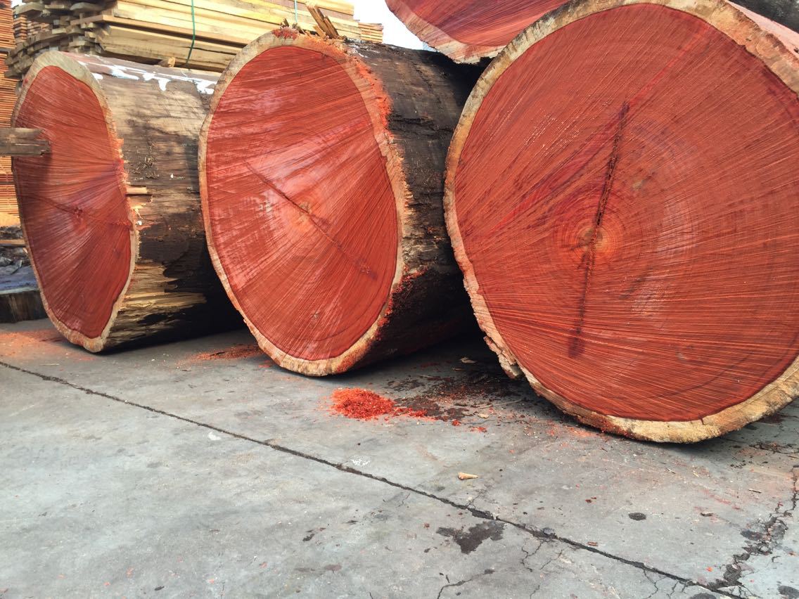 红花梨原木板材 非洲进口建筑工程用材红花梨木 非洲红花梨实木