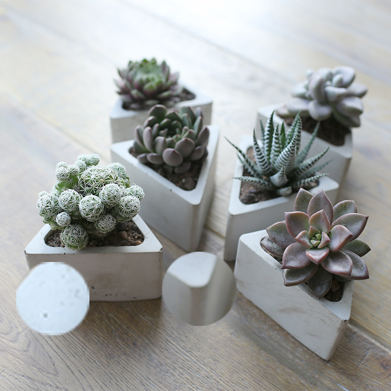 多肉花盆 清水泥设计师定制花盆肉肉花盆 各种规格款式植物花盆