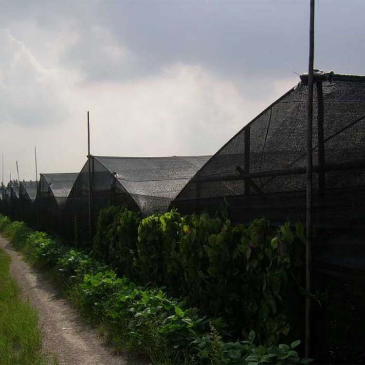 遮阳网三针加密 黑色抗老化遮阳网 遮阳率75% 农用大棚遮阴网