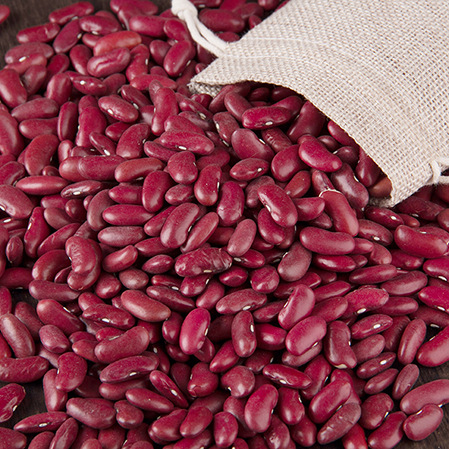 农家自种红腰豆大红豆五谷杂粮朝阳特产黑土地种植优质红芸豆