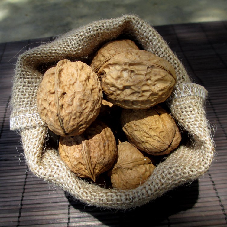 滇二娃 核桃500g 云南大姚 特产野生薄壳纸皮薄皮坚果批发