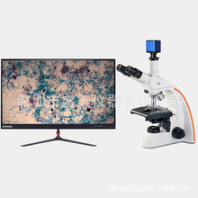 供应 无限远光学系统 大视野 40-1600倍 高清 数码生物显微镜